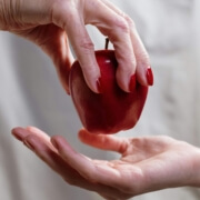 Geodesy Earth Science | Gravity Field Commission 2